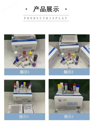 兔热休克蛋白20 HSP-20 ELISA试剂盒